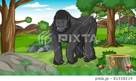 Gorilla in forest or rainforest scene with many trees 81338214