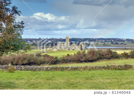 Ross Errilly Friary, Ireland 81340048