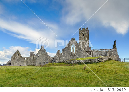 Ross Errilly Friary, Ireland 81340049