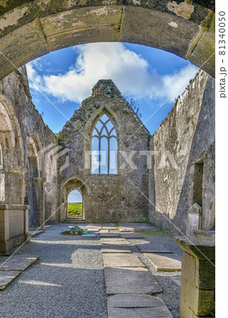 Ross Errilly Friary, Ireland 81340050