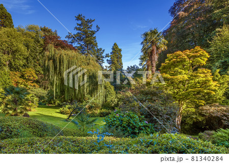 Powerscourt park, Ireland 81340284