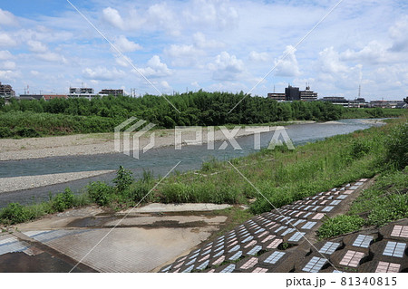 浅川の河川敷(東京都日野市) 浅川の河川敷(東京都日野市) 81340815