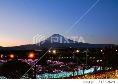 御殿場高原 時之栖イルミネーション 御殿場高原 時之栖イルミネーション 81340824