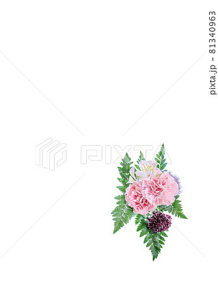 花束　カーネーション　花　贈り物　お礼　多年草 81340963
