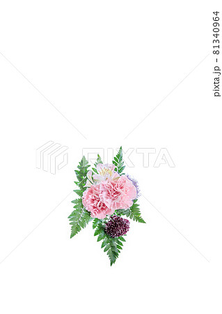 花束 カーネーション 花 贈り物 お礼 多年草 花束 カーネーション 花 贈り物 お礼 多年草 81340964