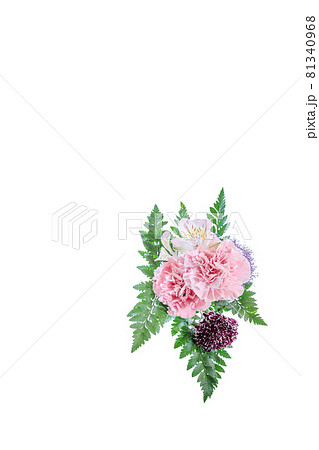 花束 カーネーション 花 贈り物 お礼 多年草 花束 カーネーション 花 贈り物 お礼 多年草 81340968