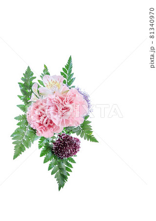 花束　カーネーション　花　贈り物　お礼　多年草 81340970