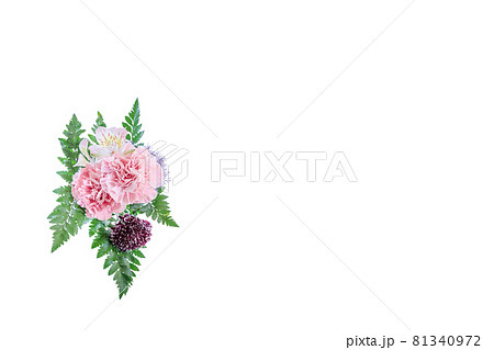 花束　カーネーション　花　贈り物　お礼　多年草 81340972