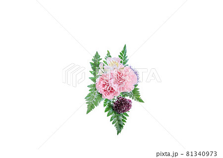 花束　カーネーション　花　贈り物　お礼　多年草 81340973
