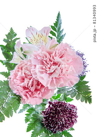 花束　カーネーション　花　贈り物　お礼　多年草 81340993
