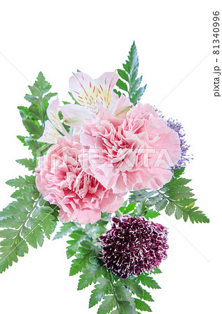 花束　カーネーション　花　贈り物　お礼　多年草 81340996
