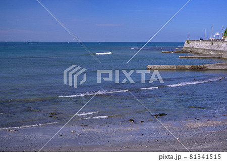 朝の湘南・逗子海岸 81341515