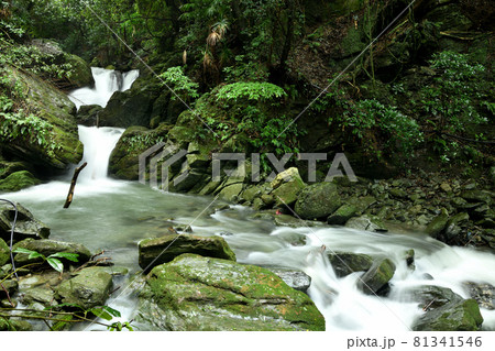 薬師の滝　【和歌山県伊都郡かつらぎ町】 81341546