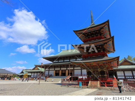 成田山新勝寺 三重塔と大本堂 成田山新勝寺 三重塔と大本堂 81341742