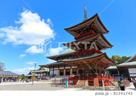 成田山新勝寺　三重塔と大本堂 81341743