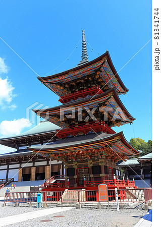 成田山新勝寺 三重塔と大本堂 成田山新勝寺 三重塔と大本堂 81341744