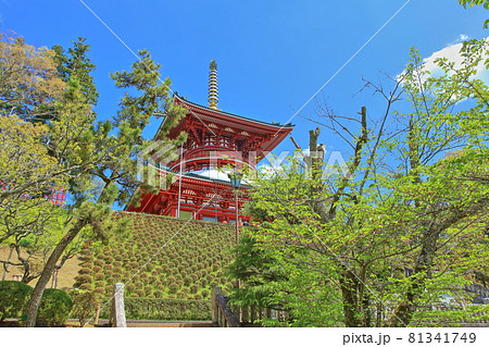 成田山新勝寺　平和大塔 81341749