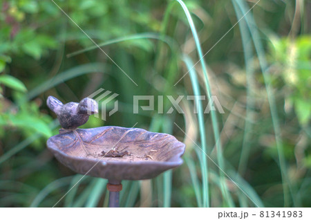 ひと休み 81341983