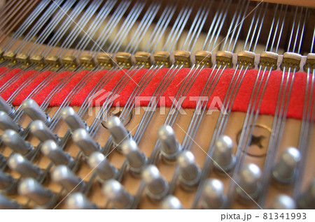 ピアノ張弦 81341993