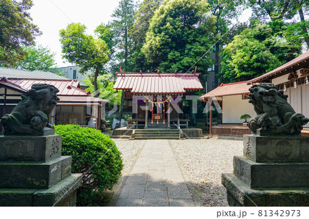 弦巻神社(東京都世田谷区弦巻) 弦巻神社(東京都世田谷区弦巻) 81342973