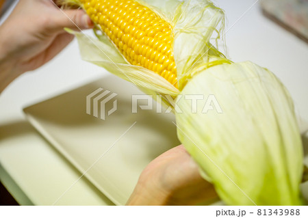 トウモロコシを食べる女性 トウモロコシを食べる女性 81343988