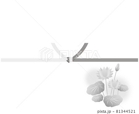 水引のベクターイラスト 水引のベクターイラスト 81344521