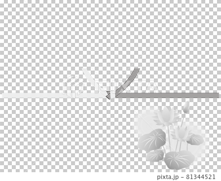 Mizuhiki vector illustration 81344521