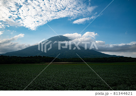 8月北海道ニセコ羊蹄山のある風景 8月北海道ニセコ羊蹄山のある風景 81344621