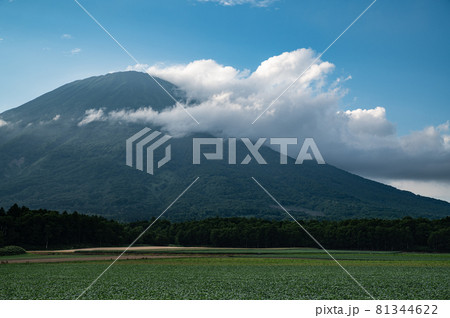 8月北海道ニセコ羊蹄山のある風景 81344622