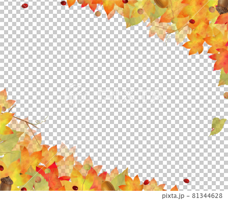 Autumn fashionable white background vector frame such as maple, maple and acorn Autumn fashionable white background vector frame such as maple, maple and acorn 81344628