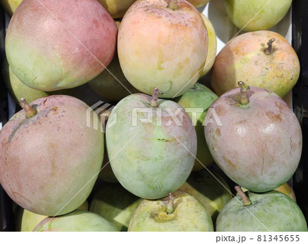 Bunch Of asian freshness organic sweet rare Mangoes on department store shelf, advertising backgrounds 81345655