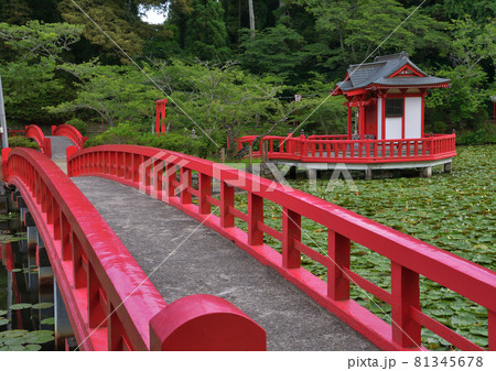 茂原公園・弁天湖 81345678