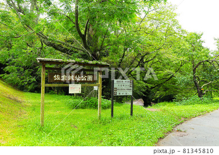 【千葉県佐倉市】佐倉城址公園の風景 81345810