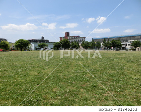 大田区立東糀谷防災公園（東京都大田区東糀谷） 81346253
