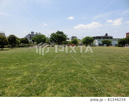 大田区立東糀谷防災公園（東京都大田区東糀谷） 81346256