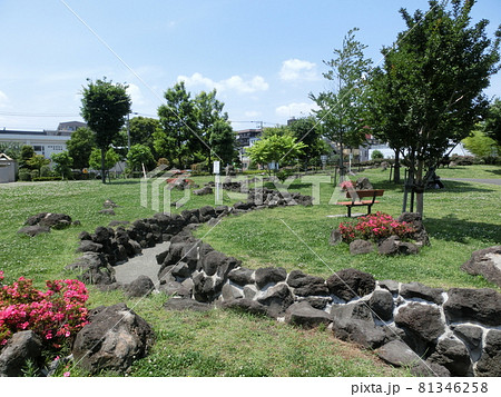大田区立東糀谷防災公園（東京都大田区東糀谷） 81346258