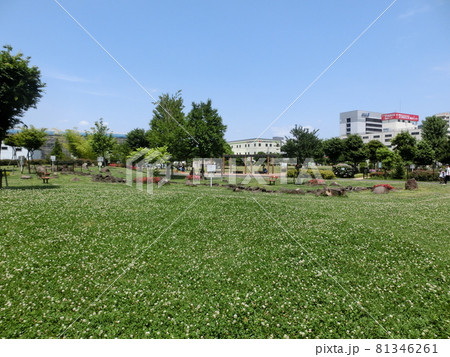 大田区立東糀谷防災公園（東京都大田区東糀谷） 81346261