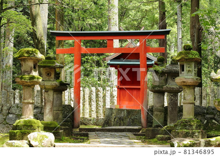 醸造の神を祀る壺神神社／春日大社の表参道 81346895