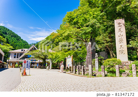 高尾山　表参道　登山口 81347172
