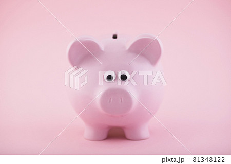 Pink piggy bank on pink background Pink piggy bank on pink background 81348122