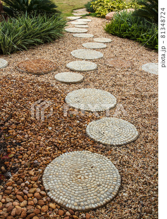 Walk path in garden Walk path in garden 81348724