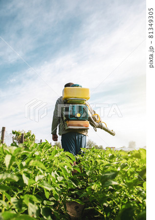 A farmer in an air sprayer cannon sprays a potato plantation. Mist fogger sprayer, fungicide and pesticide. Effective crop protection of cultivated plants from insects and fungal. Chemical treatment A farmer in an air sprayer cannon sprays a potato plantation. Mist fogger sprayer, fungicide and pesticide. Effective crop protection of cultivated plants from insects and fungal. Chemical treatment 81349305