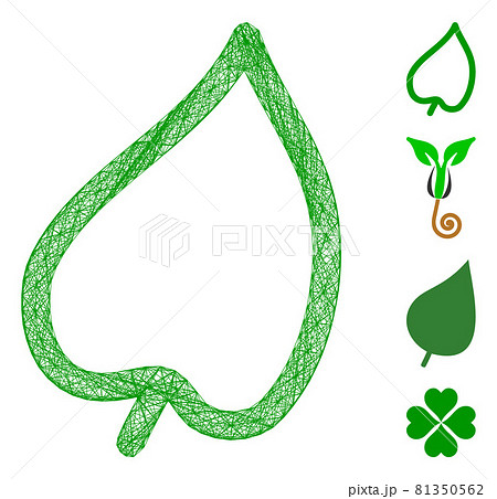 Linear Leaf Vector Mesh 81350562