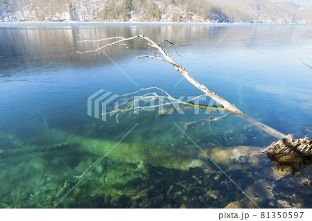 クロアチア 冬のプリトヴィツェ湖群国立公園 / Plitvice, Croatia 81350597