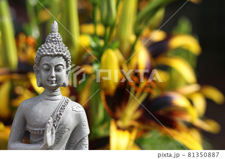 Buddha Statue With Field of Yellow Flowers in Background 81350887