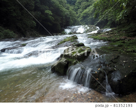 山口県山口市の蔵目喜川の流れ 81352193