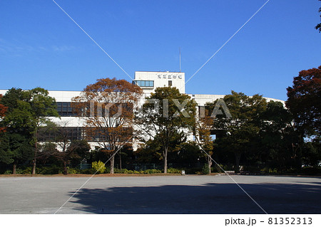 東京都中央卸売市場北足立市場（東京都足立区） 81352313