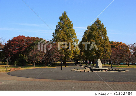 秋の舎人公園にて（東京都足立区） 81352484