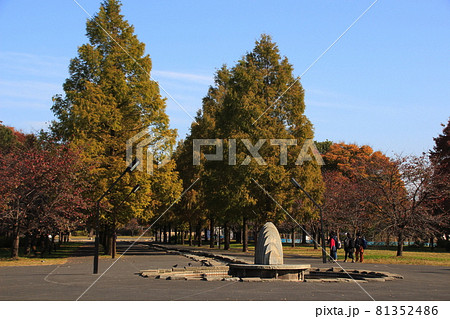 秋の舎人公園にて(東京都足立区) 秋の舎人公園にて(東京都足立区) 81352486