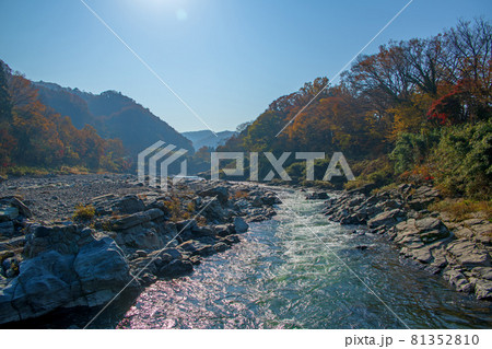 荒川　長瀞岩畳付近　小滝の瀬　秋の風景　紅葉の景色　　 81352810